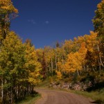 Driving up Plumtaw Road in Pagosa Springs, Colorado.