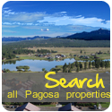 Real Estate Search
