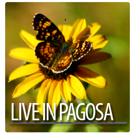 Pagosa Properties