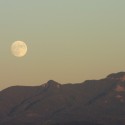 IMG_0358 IMG_0358