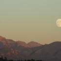 IMG_0359 IMG_0359