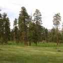 IMG_6985 IMG_6985