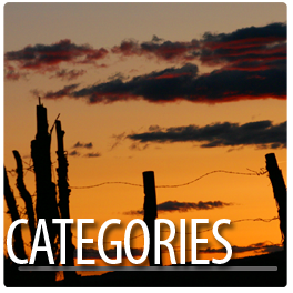 Categories