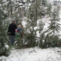 Christmas Tree 2