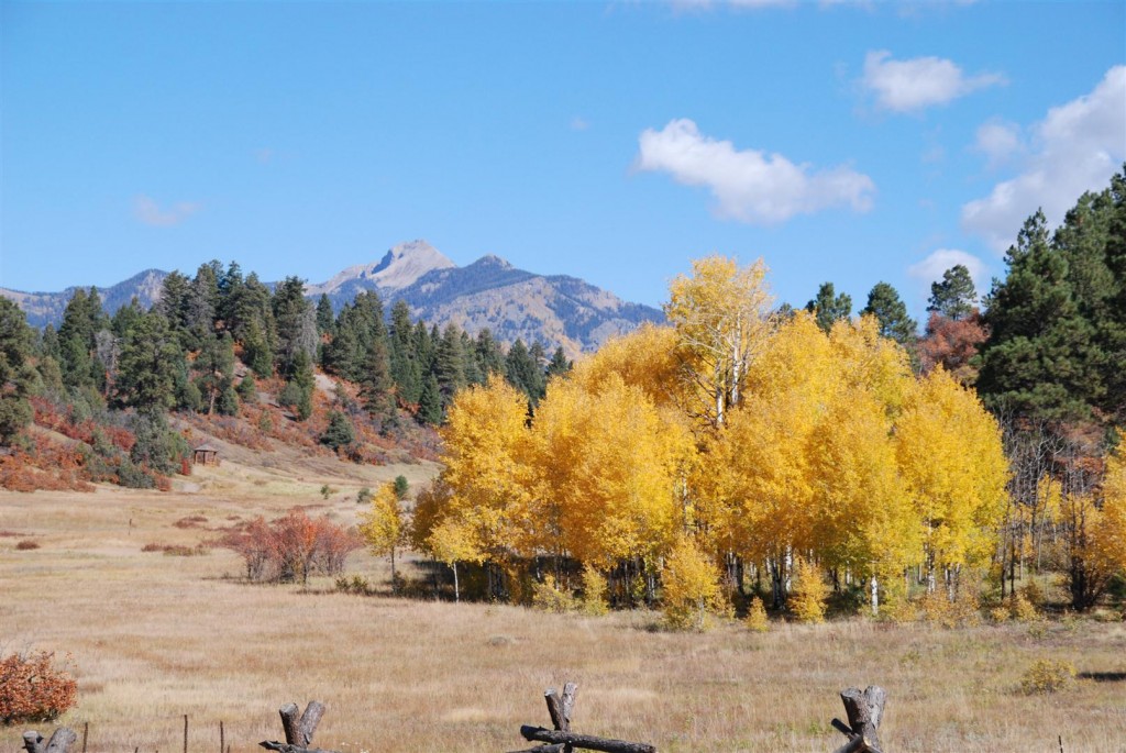 Reserve at Pagosa Peak